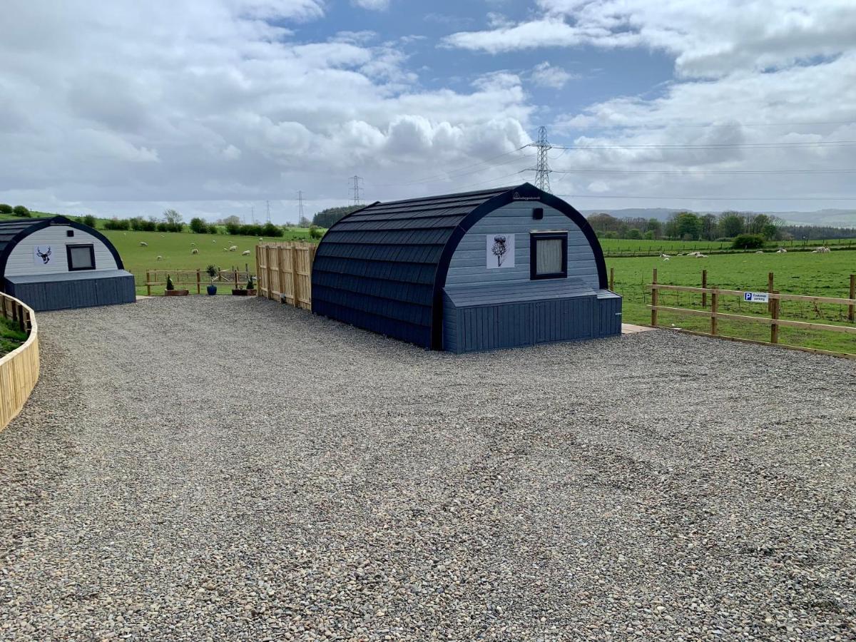 Thistle Pod Farm With Hottub Sleeps 2 * Galston (East Ayrshire)